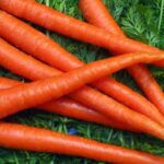 Carrots Are Amazing for Your Health