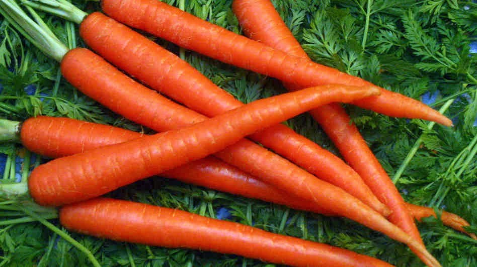 Carrots Are Amazing for Your Health